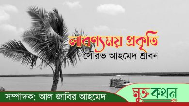 Photo of লাবণ্যময় প্রকৃতি – সৌরভ আহমেদ শ্রাবন